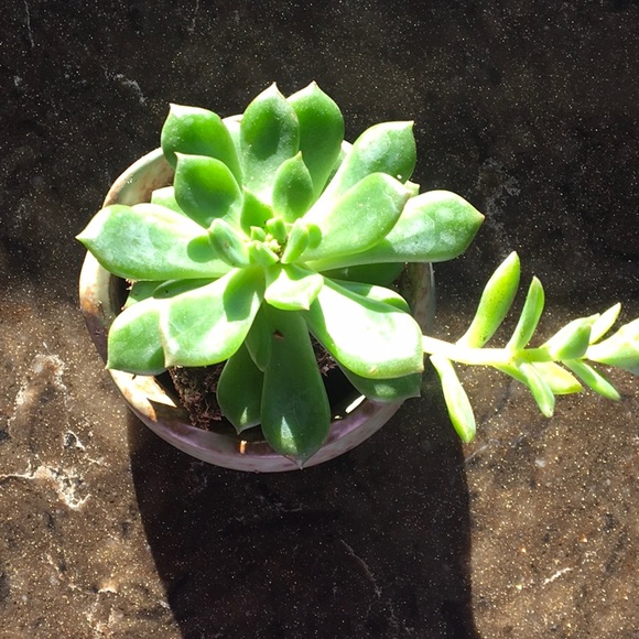 Great items just in time for WINTER ❄️☃️❄️ - Picture 5 of 8